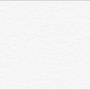 Meet your Posher, Ebony